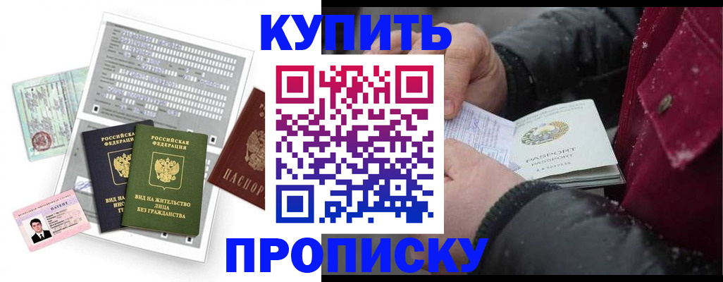 прописка поиск в Щёкино